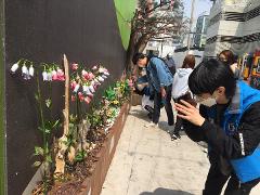 20220421_금촌통일시장야생화 (4).jpg