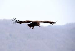 2025_03_지역사회봉사_임진강생태존회 (5).jpg