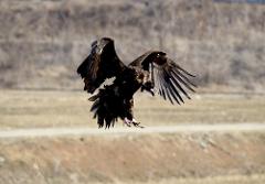 2025_03_지역사회봉사_임진강생태존회 (7).jpg